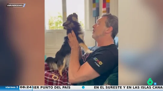 banderas banderas