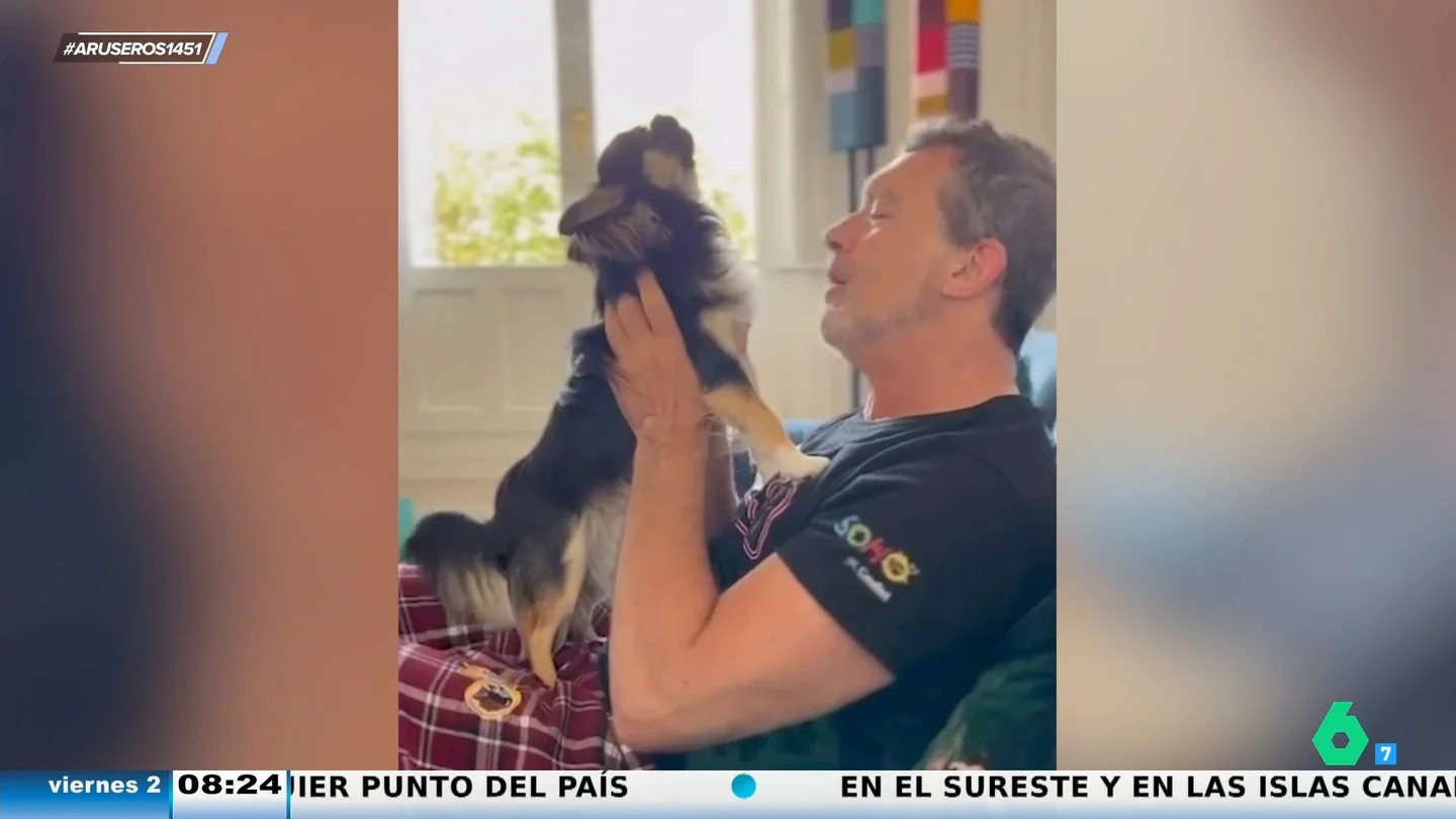 banderas banderas