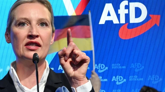 Radiografía de la AfD: un partido de extrema derecha que desgasta la democracia desde dentro Radiografía de la AfD: un partido de extrema derecha que desgasta la democracia desde dentro