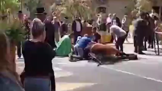 Muere súbitamente un caballo en la cabalgata de los Tres Tombs: PACMA pide responsabilidades Muere súbitamente un caballo en la cabalgata de los Tres Tombs: PACMA pide responsabilidades