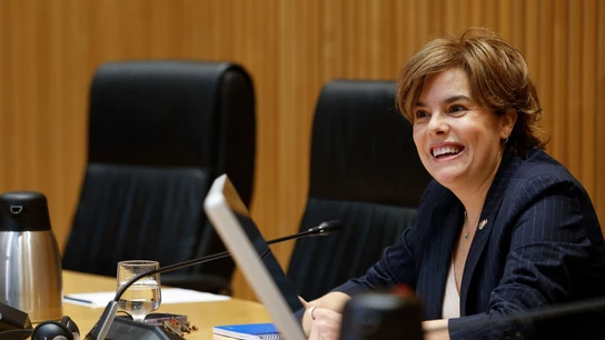La exvicepresidenta del Gobierno con el PP Soraya Sáenz de Santamaría La exvicepresidenta del Gobierno con el PP Soraya Sáenz de Santamaría