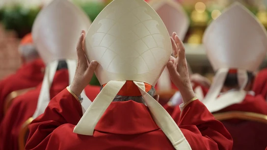 Varios cardenales asistentes a uno de los novendiales en honor al Papa Francisco. Varios cardenales asistentes a uno de los novendiales en honor al Papa Francisco en la Basílica de San Pedro del Vaticano.