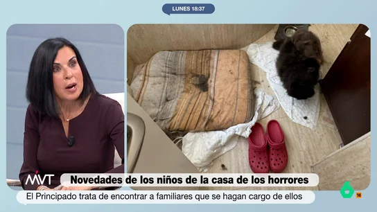 Bea de Vicente, sobre los padres detenidos en Oviedo: "Era un amor patológico y delirante, el maltrato vino de sobreproteger así a los niños" Bea de Vicente, sobre los padres detenidos en Oviedo: "Era un amor patológico y delirante, el maltrato vino de sobreproteger así a los niños"