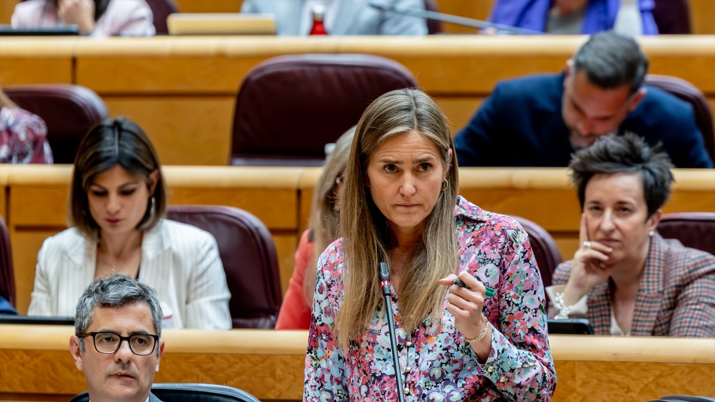 La vicepresidenta del Gobierno y ministra para la Transición Ecológica y el Reto Demográfico, Sara Aagesen, interviene en la sesión de control al Gobierno en el Senado La vicepresidenta del Gobierno y ministra para la Transición Ecológica y el Reto Demográfico, Sara Aagesen, interviene en la sesión de control al Gobierno en el Senado