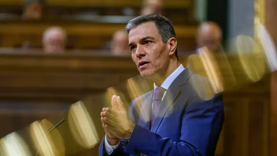 El presidente del Gobierno, Pedro Sánchez, en el Congreso. El presidente del Gobierno, Pedro Sánchez, en el Congreso.