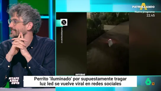 Víctor Algra explica qué hacer si nuestra mascota se come algo que no debe: "Pueden acabar en un quirófano" El veterinario indica que, a veces, pueden expulsar esos objetos extraños pero lo recomendable es acudir al veterinario ya que, como explica, "si les hacemos vomitar, posiblemente, se quede en un susto".