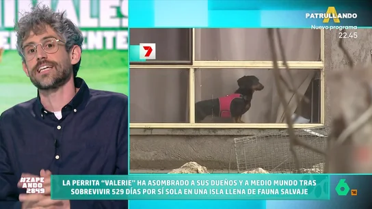 Víctor Algra describe las dotes de supervivencia de los perros: "Pueden aguantar una semana sin alimentarse" El veterinario indica que el agua es más importante que el alimento ya que tan solo son capaces de aguantar sin hidratarse unos tres días.
