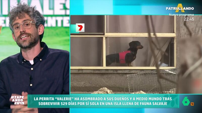 Víctor Algra describe las dotes de supervivencia de los perros: "Pueden aguantar una semana sin alimentarse"