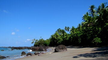 Parque Nacional del Corcovado