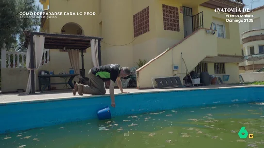 La justificación de un instructor de supervivencia para beber agua verde de una piscina La justificación de un instructor de supervivencia para beber agua verde de una piscina