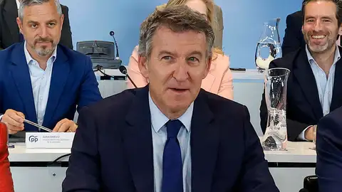 El líder del PP, Alberto Núñez Feijóo El líder del PP, Alberto Núñez Feijóo
