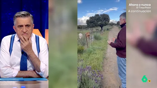 La reacción de Wyoming al verse dando un mitin a unas vacas: "Alvise empezó con un público similar y ahí le ves" Sandra Sabatés sorprende a Wyoming con un vídeo en el que aparece dando un discurso a unas vacas: "Es totalmente falso eso de que aburres a las ovejas, porque a las vacas está claro que también", comenta la presentadora.