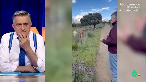 La reacción de Wyoming al verse dando un mitin a unas vacas: "Alvise empezó con un público similar y ahí le ves" Sandra Sabatés sorprende a Wyoming con un vídeo en el que aparece dando un discurso a unas vacas: "Es totalmente falso eso de que aburres a las ovejas, porque a las vacas está claro que también", comenta la presentadora.