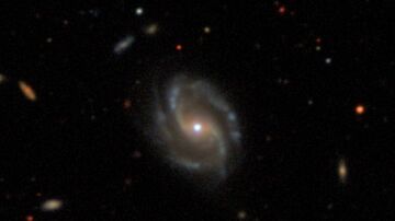 Galaxias