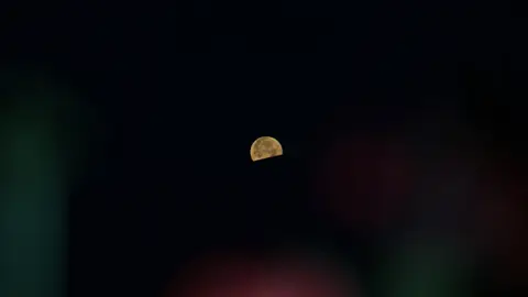 Luna de las Flores en la India Luna de las Flores en la India