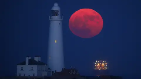 Luna de las Flores en Inglaterra Luna de las Flores en Inglaterra