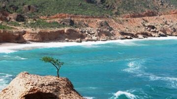Socotra