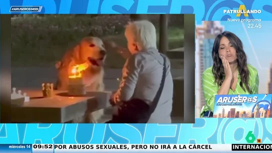 La emotiva celebración de cumpleaños que le prepara una dueña a su Golden retriever La emotiva celebración de cumpleaños que le prepara una dueña a su Golden retriever