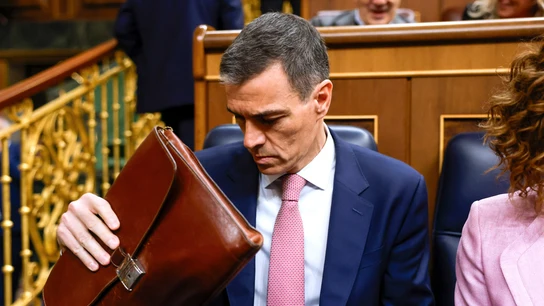 Pedro Sánchez en la sesión de control al Gobierno Pedro Sánchez en la sesión de control al Gobierno/ EFE/Juan Carlos Hidalgo