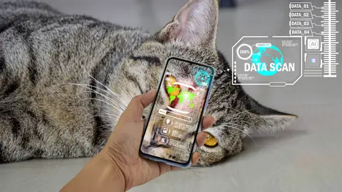 IA para traducir sonidos de animales IA para traducir sonidos de animales