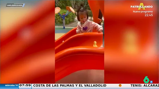 El entrañable vídeo viral del patito que juega con la niña a tirarse por el tobogán El entrañable vídeo viral del patito que juega con la niña a tirarse por el tobogán