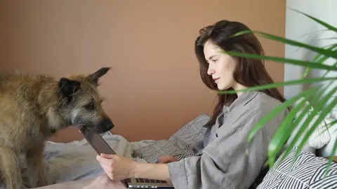 Tres señales de que tu perro se siente solo y lo que puedes hacer al respecto, según una veterinaria Tres señales de que tu perro se siente solo y lo que puedes hacer al respecto, según una veterinaria