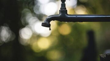 Los metales de las tuberías fomentan el crecimiento de bacterias en el agua 