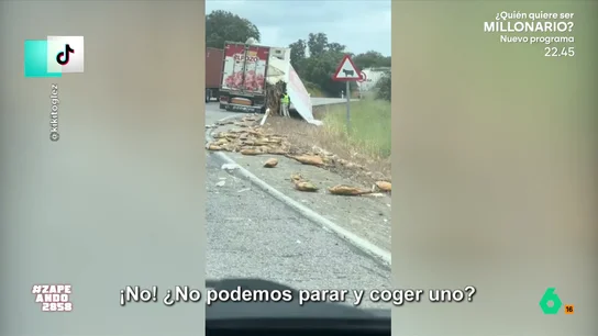 Un camión tiene un accidente en Huelva y deja la carretera llena de jamones: "¿No podemos parar y coger uno?" Unos jovenes que estaban recorriendo la carretera se vieron sorprendidos por el accidente. "Si al lado pincha la furgoneta de un panadería y alguien lleva tomates... ¡sería el mejor atasco del mundo!", afirma Cristina Pedroche, tras ver las imágenes.