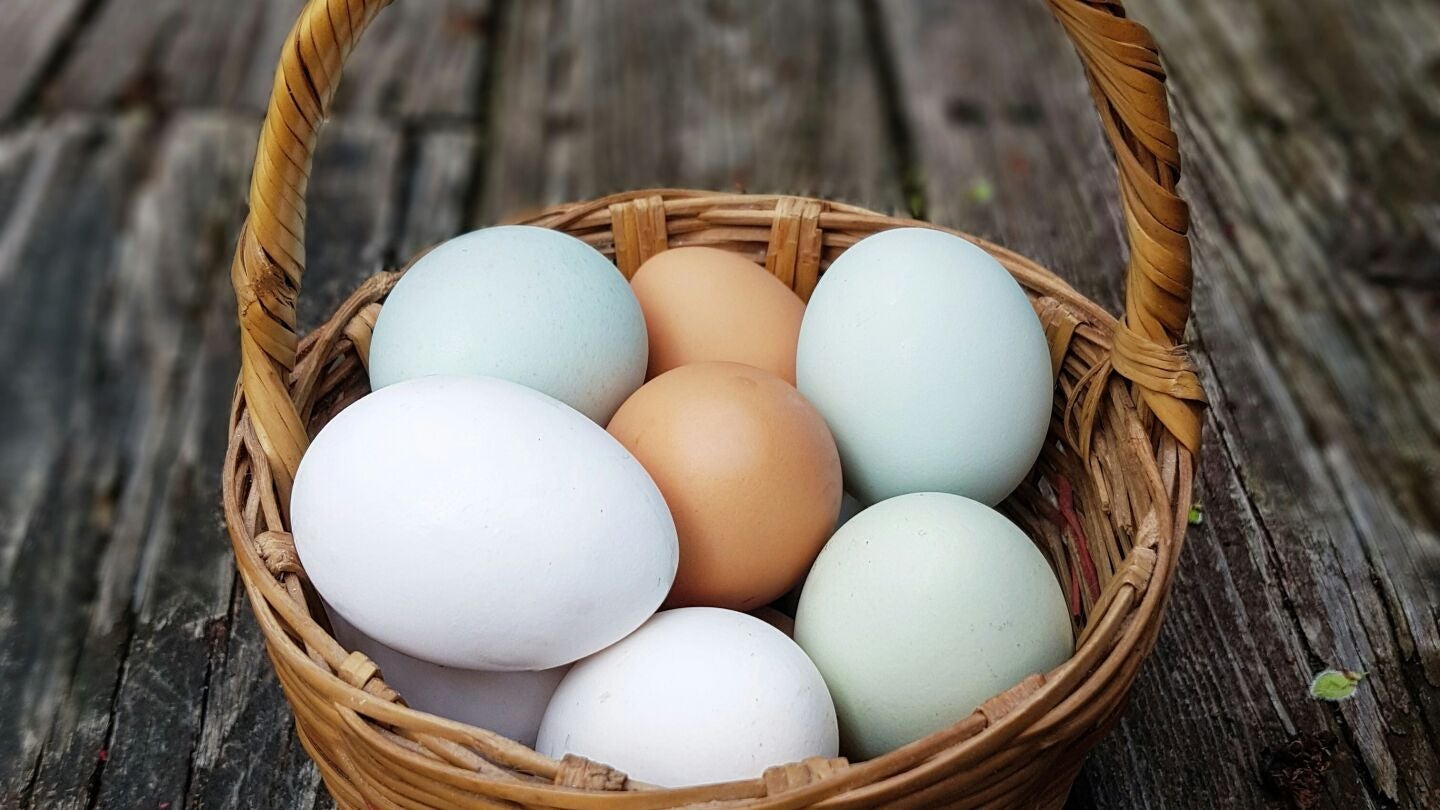 Huevos blancos, marrones y azulados
