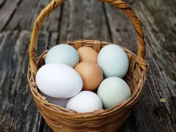 Huevos blancos, marrones y azulados Huevos blancos, marrones y azulados