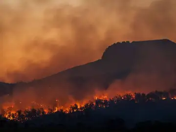Incendios forestales Incendios forestales