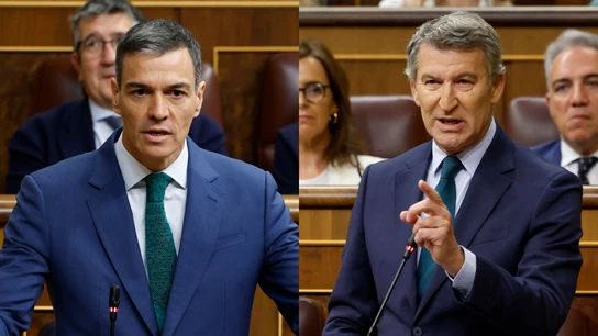 Pedro Sánchez y Alberto Núñez Feijóo, durante la sesión de control al Gobierno en el Congreso Pedro Sánchez y Alberto Núñez Feijóo, durante la sesión de control al Gobierno en el Congreso