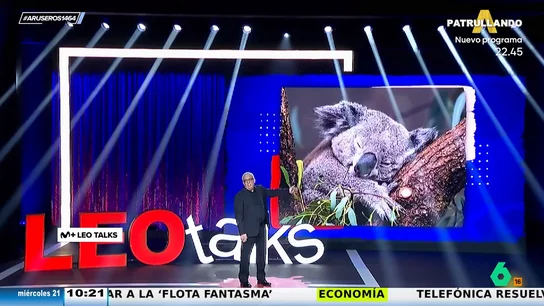 Leo Harlem, sobre los koalas: "Son la desidia hecha marsupial" Leo Harlem, sobre los koalas: "Son la desidia hecha marsupial"