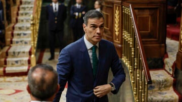 El presidente del Gobierno, Pedro S&aacute;nchez, en el hemiciclo del Congreso 