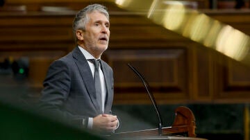 El ministro del Interior, Fernando Grande Marlaska, durante su comparecencia en el pleno del Congreso que se celebra este mi&eacute;rcoles. 