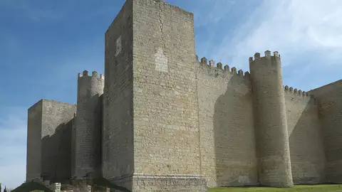 Castillo de Montealegre de Campos Castillo de Montealegre de Campos