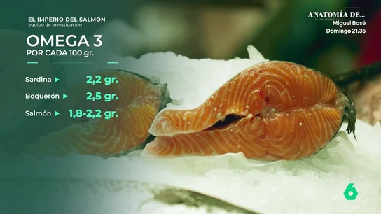 Salmón Salmón