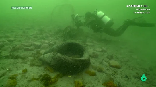 Impactantes imágenes de una salmonera Impactantes imágenes de una salmonera