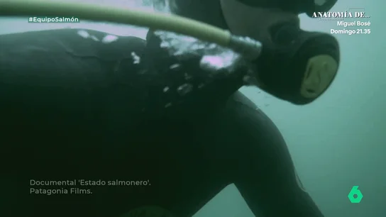 Salmonera en Chile Salmonera en Chile