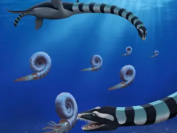 Recreación artística de dos individuos de Traskasaura Recreación artística de dos individuos de Traskasaura