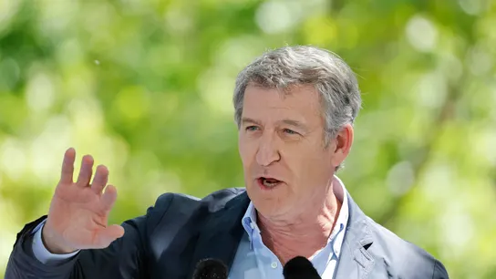 El líder del PP, Alberto Núñez Feijóo El líder del PP, Alberto Núñez Feijóo