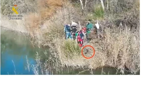 Un detenido y un investigado tras aparecer ahogado un perro atado y sujeto a bloques de hormigón en Arganda Un detenido y un investigado tras aparecer ahogado un perro atado y sujeto a bloques de hormigón en Arganda