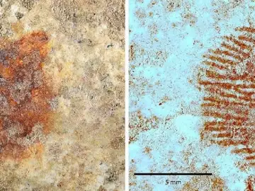 Descubren en Segovia la huella dactilar más antigua del mundo Descubren en Segovia la huella dactilar más antigua del mundo