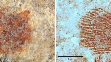 Descubren en Segovia la huella dactilar más antigua del mundo