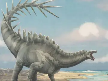 Ilustración de Dacentrurus armatus Ilustración de Dacentrurus armatus