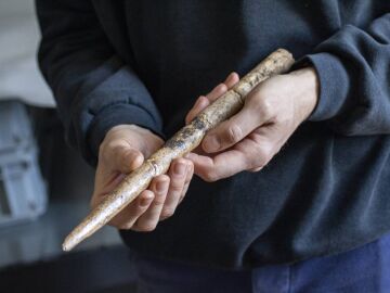 Hallan las herramientas m&aacute;s antiguas fabricadas con huesos de ballena