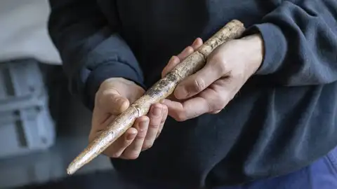 Hallan las herramientas más antiguas fabricadas con huesos de ballena Hallan las herramientas más antiguas fabricadas con huesos de ballena