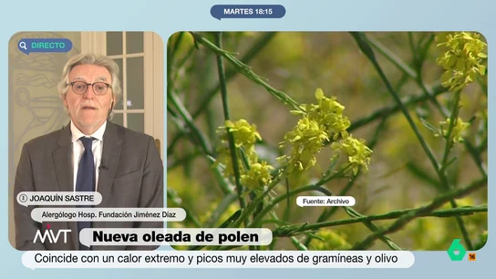 El alergólogo Joaquín Sastre advierte a los alérgicos: "En las próximas semanas va a haber una explosión de polen" Más Vale Tarde analiza con el alergólogo de la Fundación Jiménez Díaz Joaquín Sastre, que en este vídeo recomienda a los alérgicos "rescatar la mascarilla del COVID" ante las próximas semanas con índices de polen disparados.
