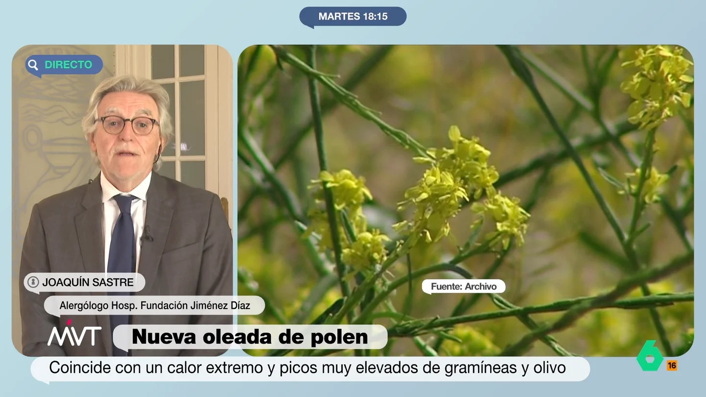 El alergólogo Joaquín Sastre advierte a los alérgicos: "En las próximas semanas va a haber una explosión de polen" Más Vale Tarde analiza con el alergólogo de la Fundación Jiménez Díaz Joaquín Sastre, que en este vídeo recomienda a los alérgicos "rescatar la mascarilla del COVID" ante las próximas semanas con índices de polen disparados.
