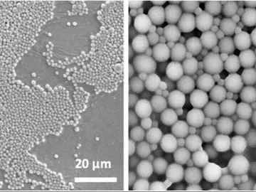 Un científico español crea vida sintética capaz de imitar a sistemas orgánicos Un científico español crea vida sintética capaz de imitar a sistemas orgánicos